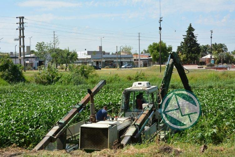Se realiza la limpieza del canal de Avenida Génova Se realiza la limpieza del canal de Avenida Génova