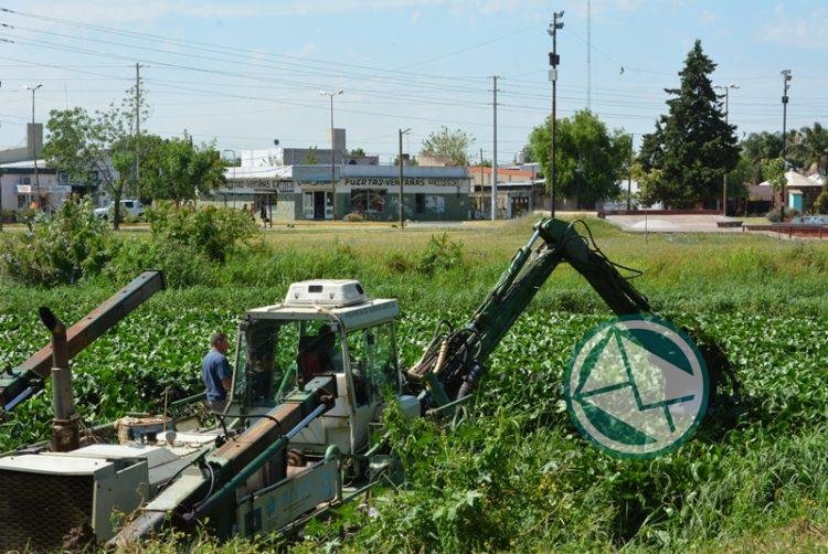 Se realiza la limpieza del canal de Avenida Génova Se realiza la limpieza del canal de Avenida Génova