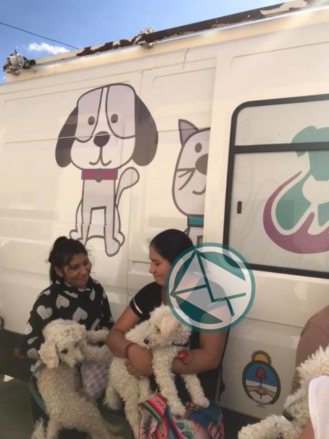 Jornada gratuita de castración y vacunación para mascotas en el Club El Carmen Jornada gratuita de castración y vacunación para mascotas en el Club El Carmen