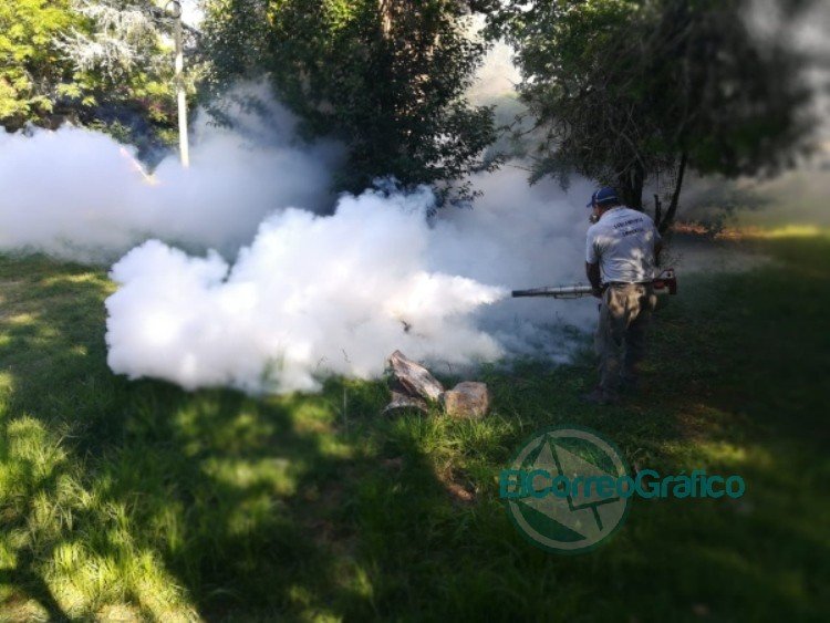 Contin An Las Tareas De Fumigaci N En El Distrito El Correo Gr Fico