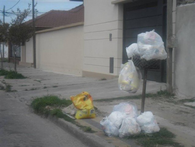 image0038