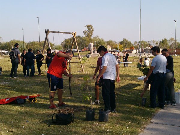 Galeria13