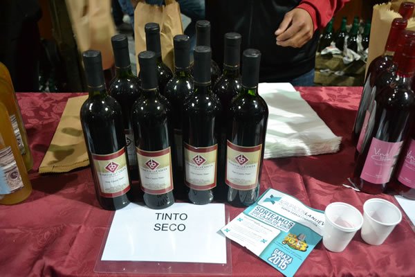 Fiesta del Vino de la Costa Archivo5