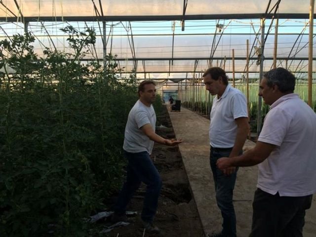 @JulioGarro propone crear un Registro único de Productores, Cont rol y Censo de Invernáculos en #LaPlata