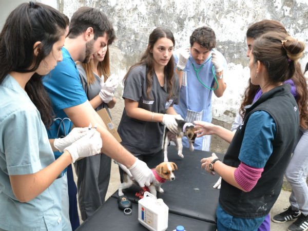 Servicio Veterinario #Berisso: Fuerte incremento del trabajo preventivo y sanitario