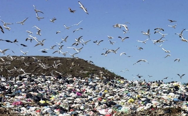 Nuevo Ambiente duro contra autoridades del CEAMSE
