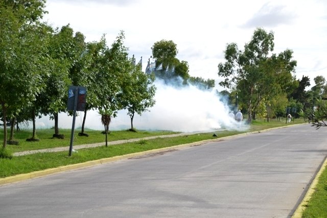 Tareas de fumigación en ambas márgenes del Canal de la Avenida Génova