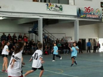 Handball1