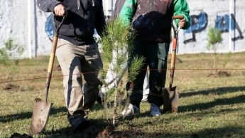 16 06 2016 Forestación Parque del Bicentenario El Dique (2)