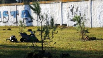 16 06 2016 Forestación Parque del Bicentenario El Dique (3)