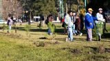 Forestación en El Dique
