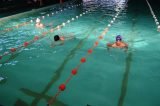 Se desarrollaron las pruebas de natación para los Juegos Bonaerense 2016 Se desarrollaron las pruebas de natación para los Juegos Bonaerense 2016