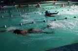Se desarrollaron las pruebas de natación para los Juegos Bonaerense 2016 Se desarrollaron las pruebas de natación para los Juegos Bonaerense 2016