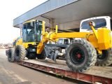 Trabajos de mejoramiento de calles en Berisso Trabajos de mejoramiento de calles en Berisso