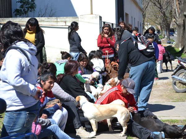 Vacunación antirrábica en Villa Argüello Vacunación antirrábica en Villa Argüello