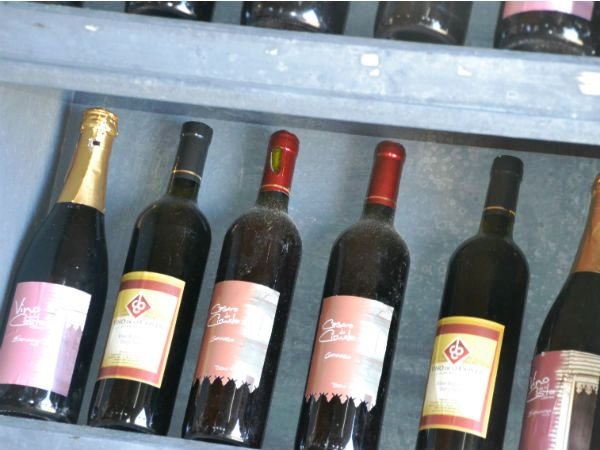 Con record de público y ventas finalizó la 13ª Fiesta del Vino de la Costa en Berisso