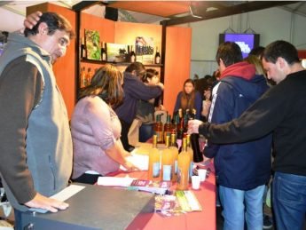 Fiesta15
