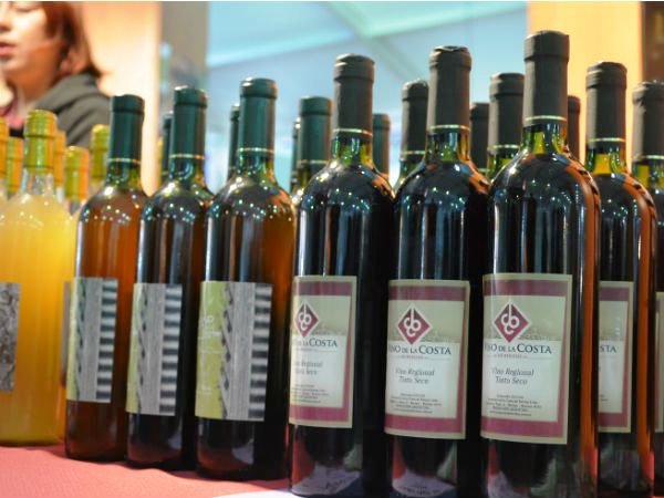 Con record de público y ventas finalizó la 13ª Fiesta del Vino de la Costa en Berisso