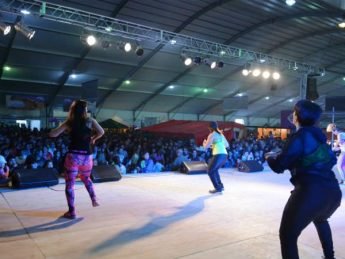 Fiesta28