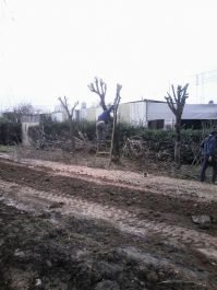 Tareas de mantenimiento en Villa Zula 69