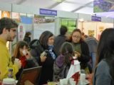 A todo ritmo comenzó la Fiesta del Vino de la Costa en Berisso A todo ritmo comenzó la Fiesta del Vino de la Costa en Berisso