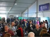 A todo ritmo comenzó la Fiesta del Vino de la Costa en Berisso A todo ritmo comenzó la Fiesta del Vino de la Costa en Berisso