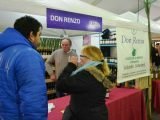 A todo ritmo comenzó la Fiesta del Vino de la Costa en Berisso A todo ritmo comenzó la Fiesta del Vino de la Costa en Berisso