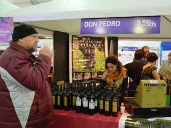 Vino 12