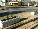 Trabajos de mantenimiento por la Delegación II de Berisso