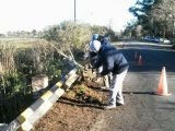 Trabajos de mantenimiento por la Delegación II de Berisso