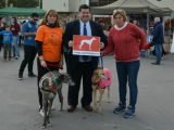 Se realizó la “Feria de Mascotas” por una tenencia responsable