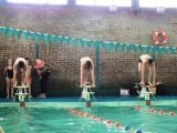 Multitudinario Torneo de Natación por el Día del Niño