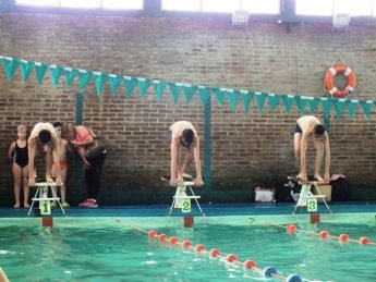 Torneo de Natacion2