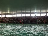 Multitudinario Torneo de Natación por el Día del Niño