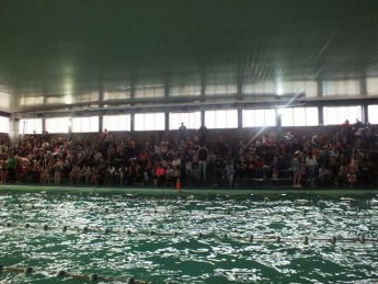 Torneo de Natacion5