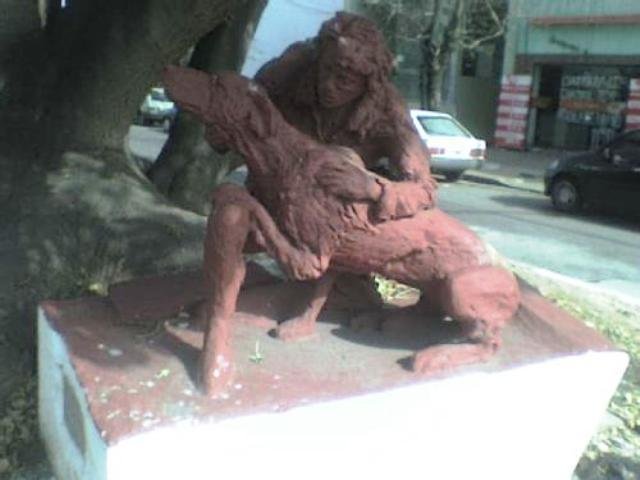 “Si no se hace algo urgente, en breve habrá más perros callejeros que platenses”