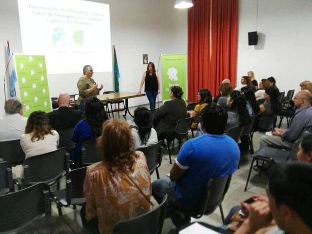 Plataforma Virtual de cursos en efermería dependientes de Región Sanitaria XI