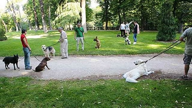El edil García propone colocar "bebederos públicos" para animales en La Plata El edil García propone colocar "bebederos públicos" para animales en La Plata