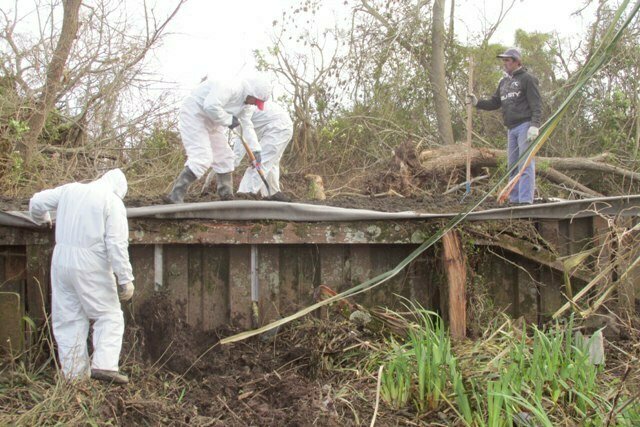 Trabajadores del Puerto realizaron tareas de limpieza en la Isla Paulino