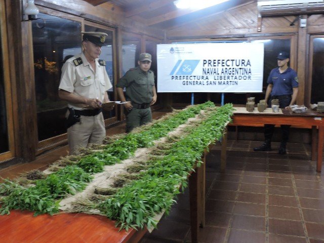 Prefectura secuestró 6.300 plantines de marihuana en Misiones