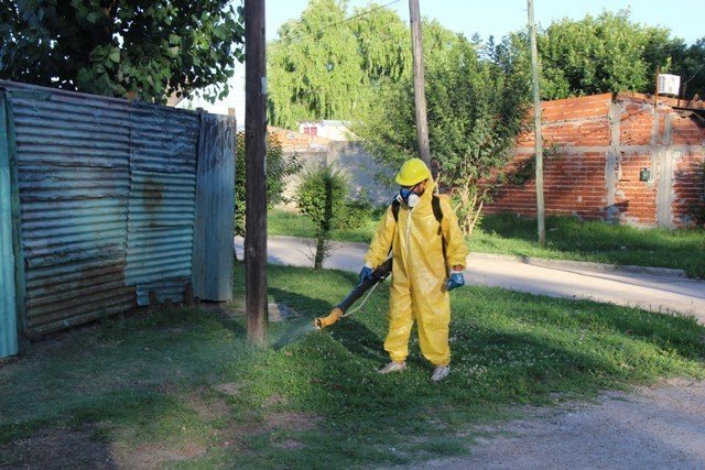 Fumigación preventiva en barrios de Ensenada