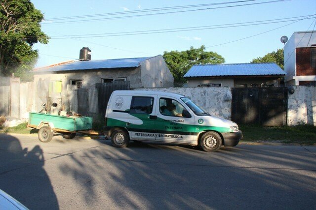 Fumigación preventiva en barrios de Ensenada