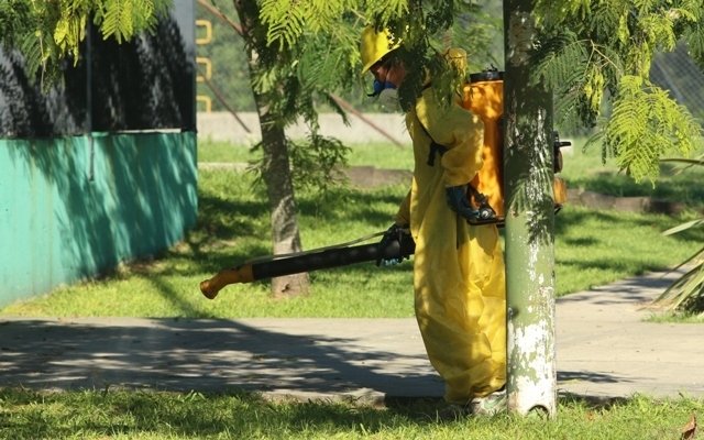 Fumigación preventiva en barrios de Ensenada