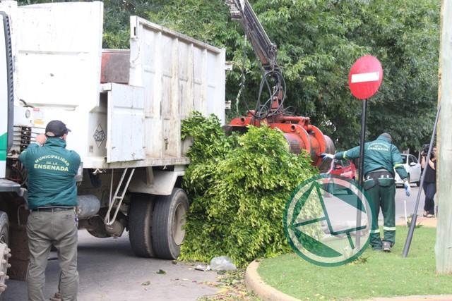 Luego de los que el viento dejó, el municipio de Ensenada entró en acción
