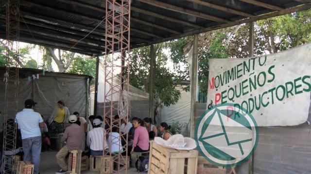 Productores hortícolas afectados por el temporal reclaman soluciones urgentes a EDELAP y el gobierno