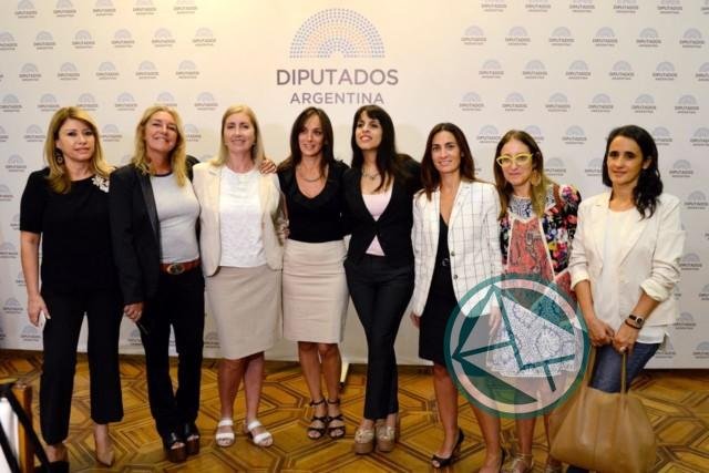 Legisladoras Nacionales de varios partidos se unen y convocan al #8MParo