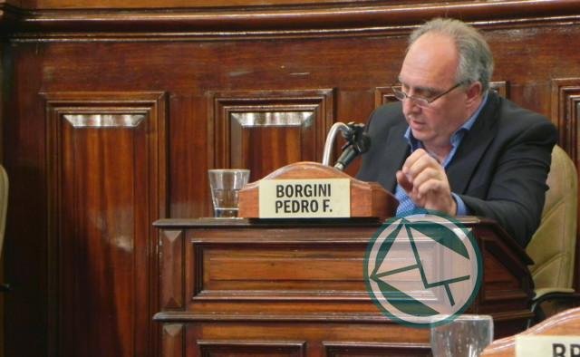 Pedro Borgini
