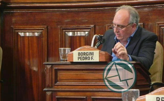 Pedro Borgini