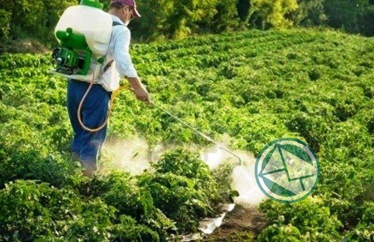 Borgini presentó proyecto que regule el uso de agroquímicos el el distrito