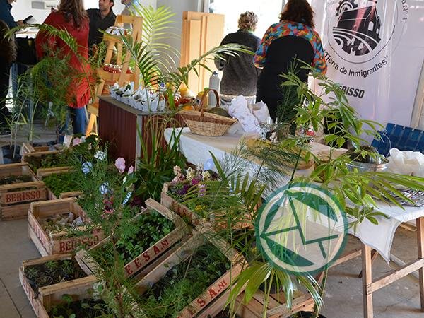 Se llevó a cabo una nueva jornada del Mercado de la Ribera